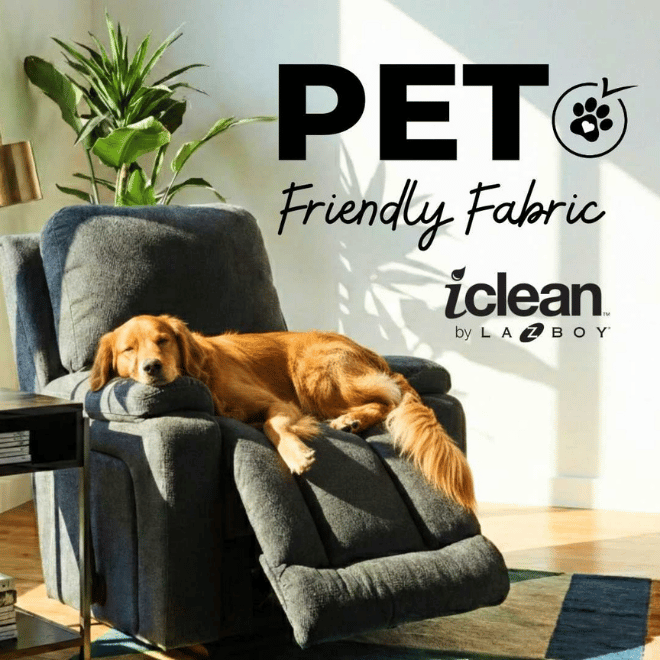 Dog lying on a grey fabric recliner chair