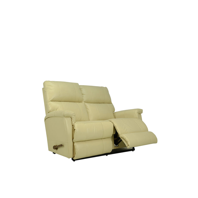 ETHAN All Leather Motion Reclining Loveseat